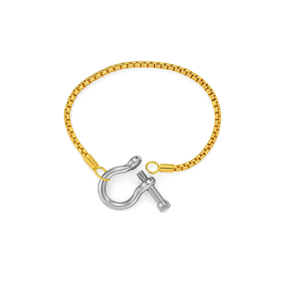 Lucky Lock Horseshoe Bracelet